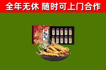 韶关烟酒回收冬虫夏草礼盒.jpg